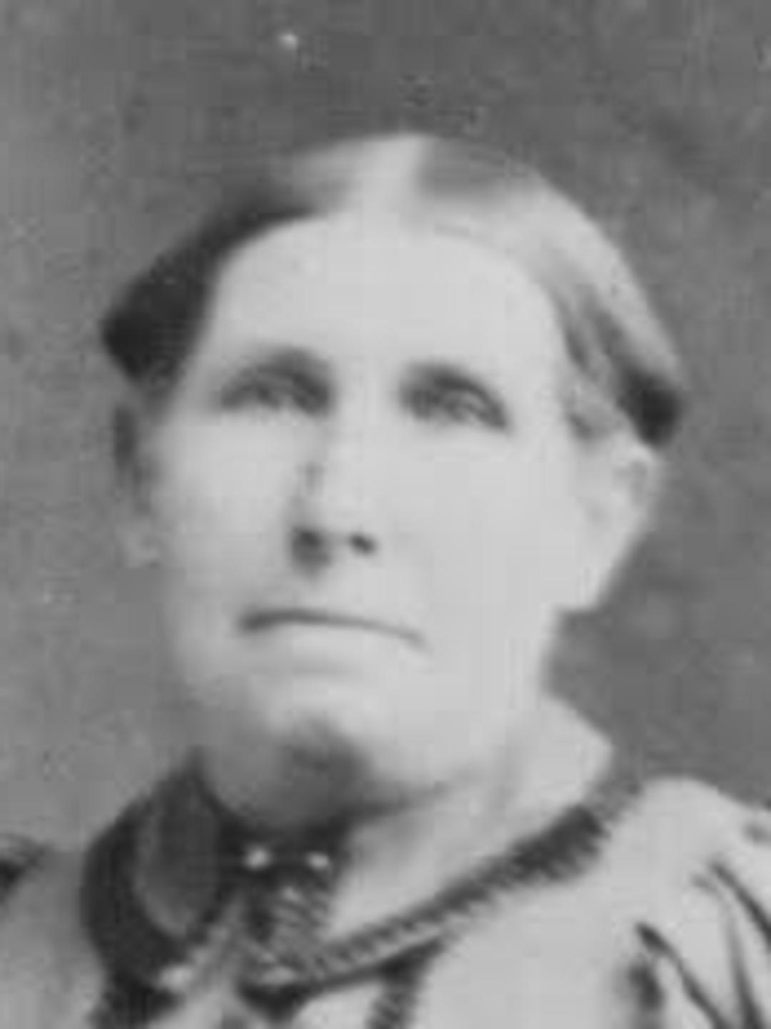 Mary Elizabeth Etherington (1834 - 1913) Profile
